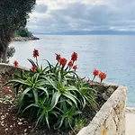 Secluded Fisherman\'S Cottage Cove Lucica, Hvar - 15546